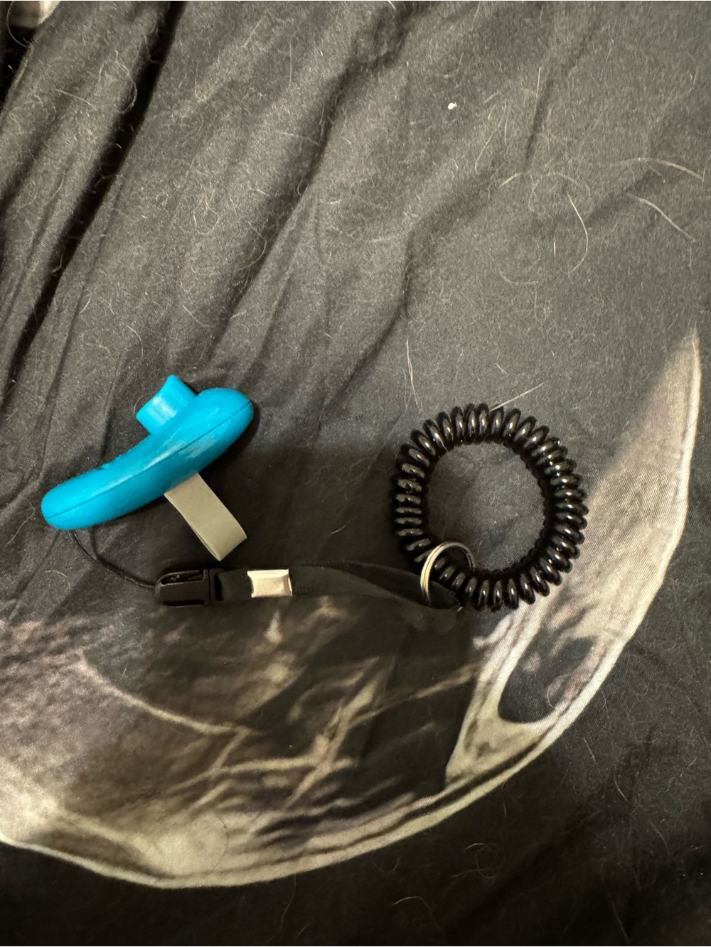 Pet training clicker and wristband